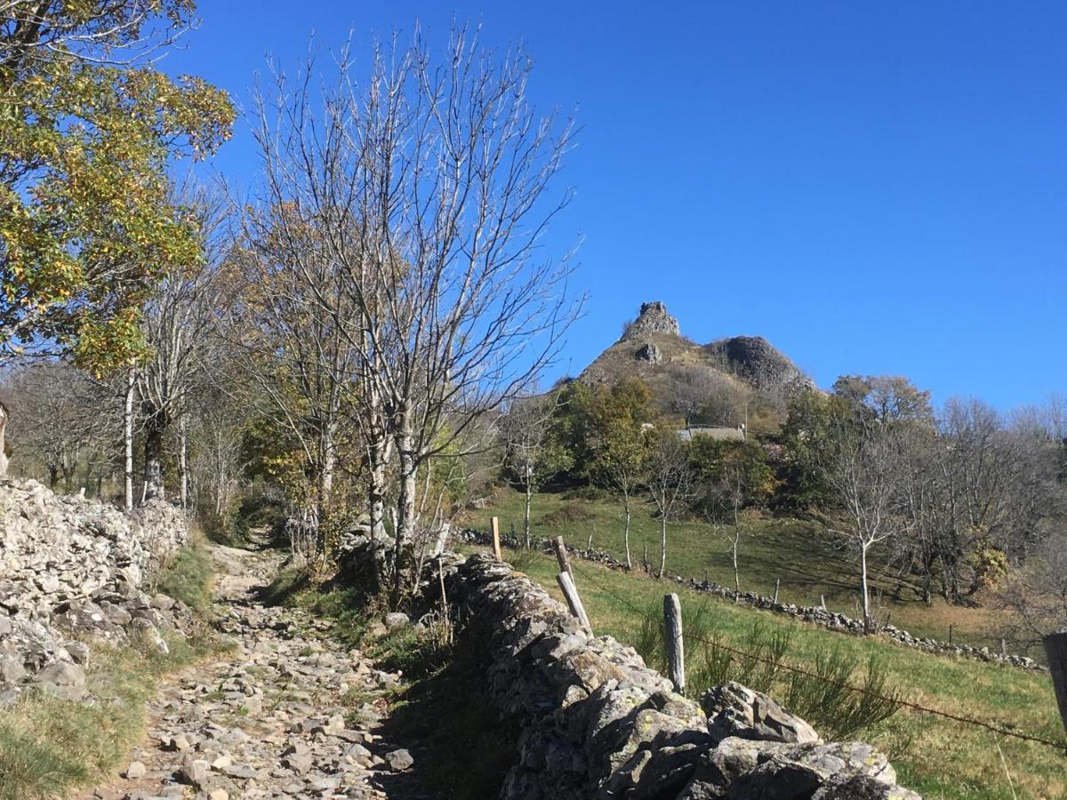 Chambres D'Hotes Le Lepadou-Bas Saint-Chély-dʼAubrac Exteriör bild