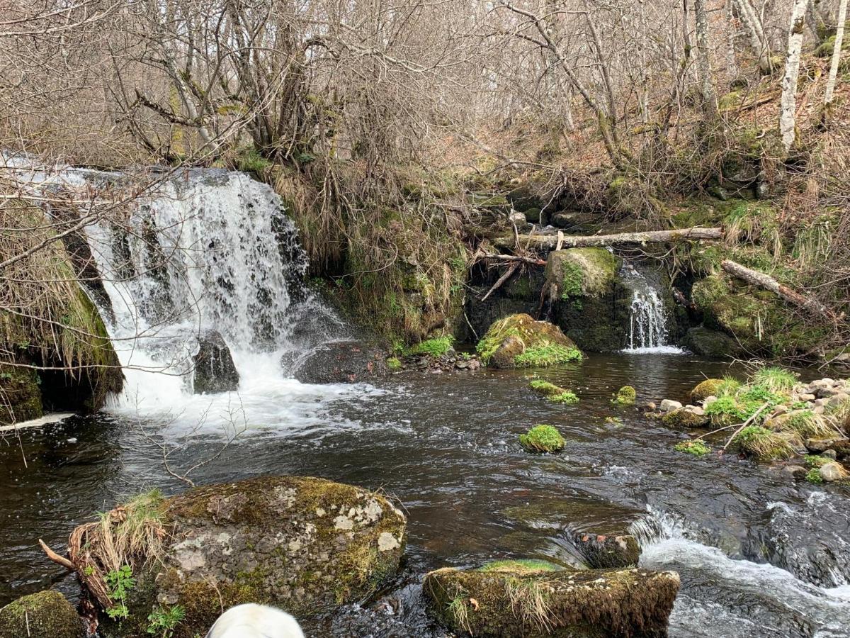 Chambres D'Hotes Le Lepadou-Bas Saint-Chély-dʼAubrac Exteriör bild