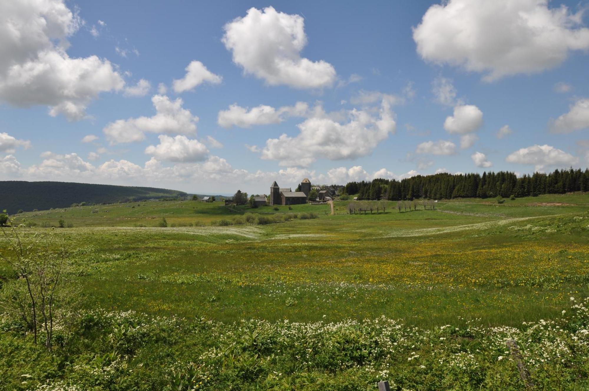 Chambres D'Hotes Le Lepadou-Bas Saint-Chély-dʼAubrac Exteriör bild